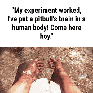 IMG_9588.gif