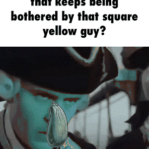 IMG_2884.gif