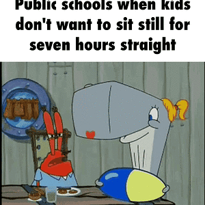 IMG_2862.gif