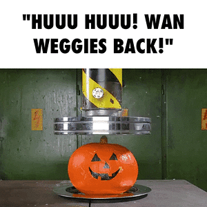IMG_8924.gif