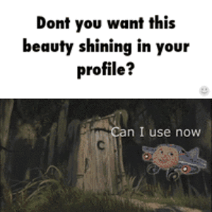 IMG_2560.gif