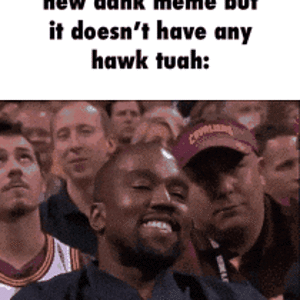 IMG_2339.gif