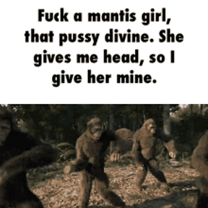 IMG_9558.gif