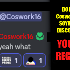 DO_NOT_PING_COSWORK16.png