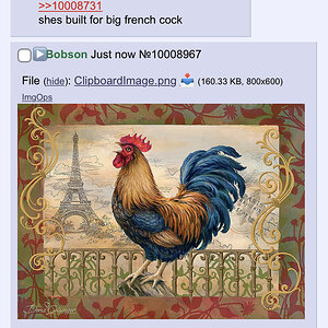 Big French Cock