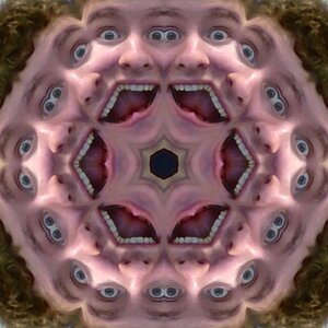webcam-toy-photo1.jpg