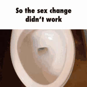 5631b2947659eb1c273fde17ea94d227a56cd554c88d4c7a9cd794efca6bb690_1.gif.gif