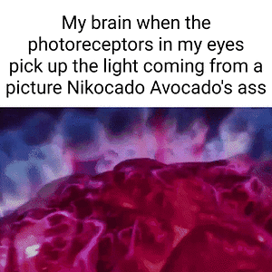 444aabf8af7825b842f44bbd1ad929f298091669d455b9ce55996920a8b55541_1.gif