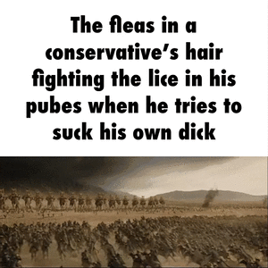 e800d261024fc0e025f247ec20ad5c4253ccbca566d07385ebae6a00279b850e_1.gif