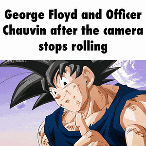 image0-11-1-1.gif
