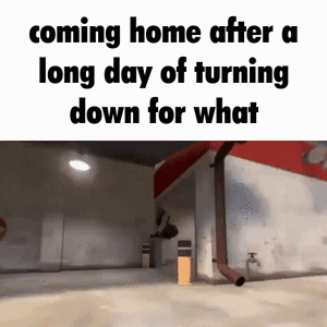 turnindownfowhat.gif