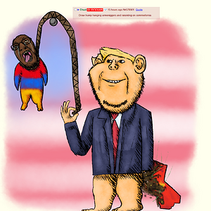 D37.png