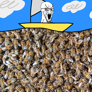 The 'sea in question: