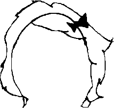 01blankhair.png