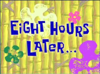 04 - 8 hours.jpg