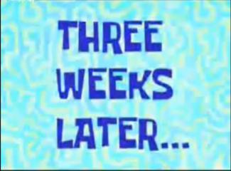 06 - 3 weeks2.jpg