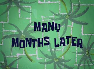 07 - many months.jpg