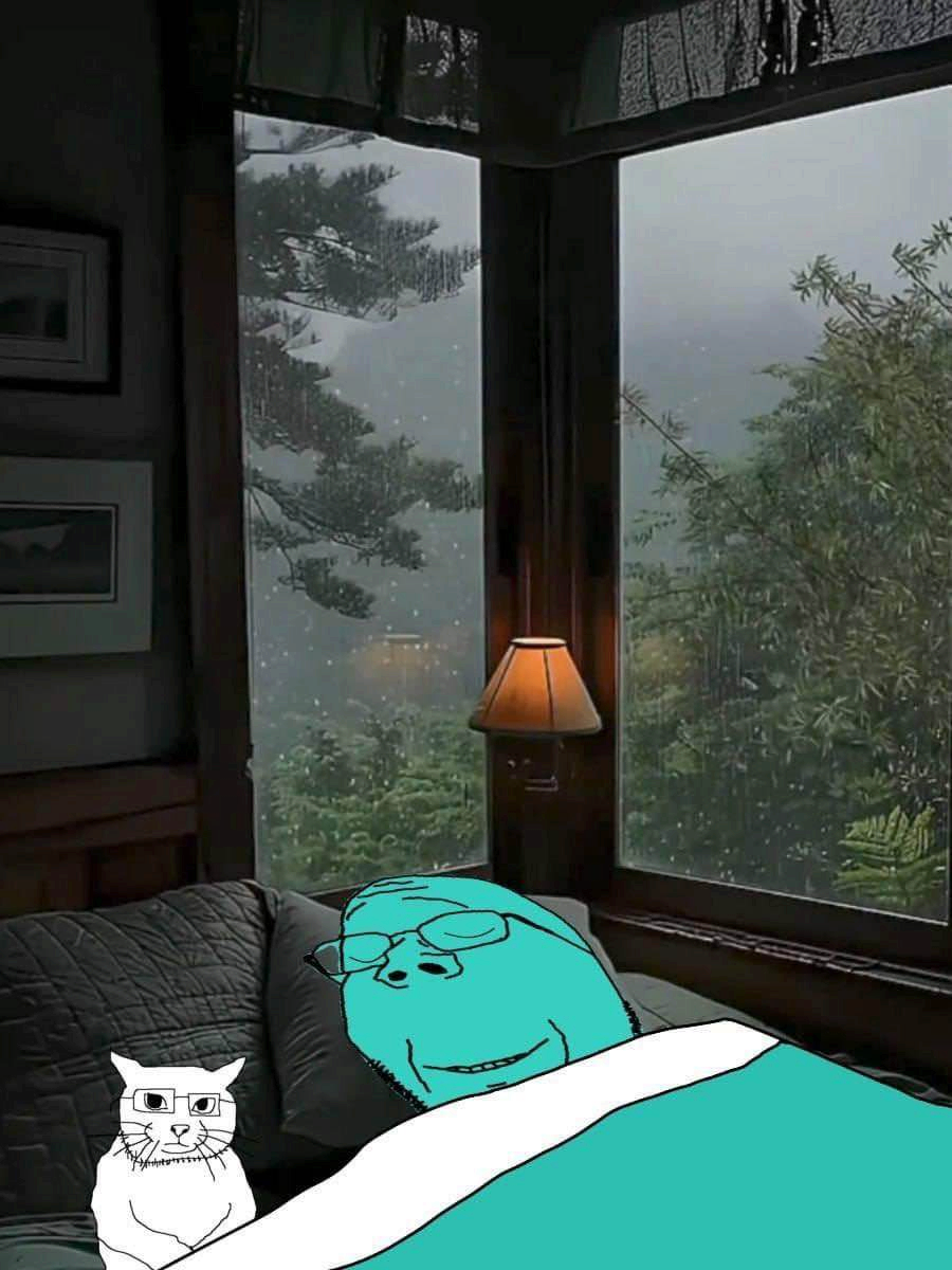 calm plus catjak