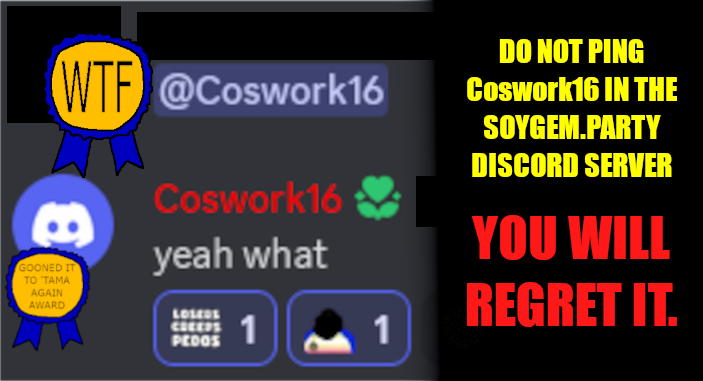 DO_NOT_PING_COSWORK16.png