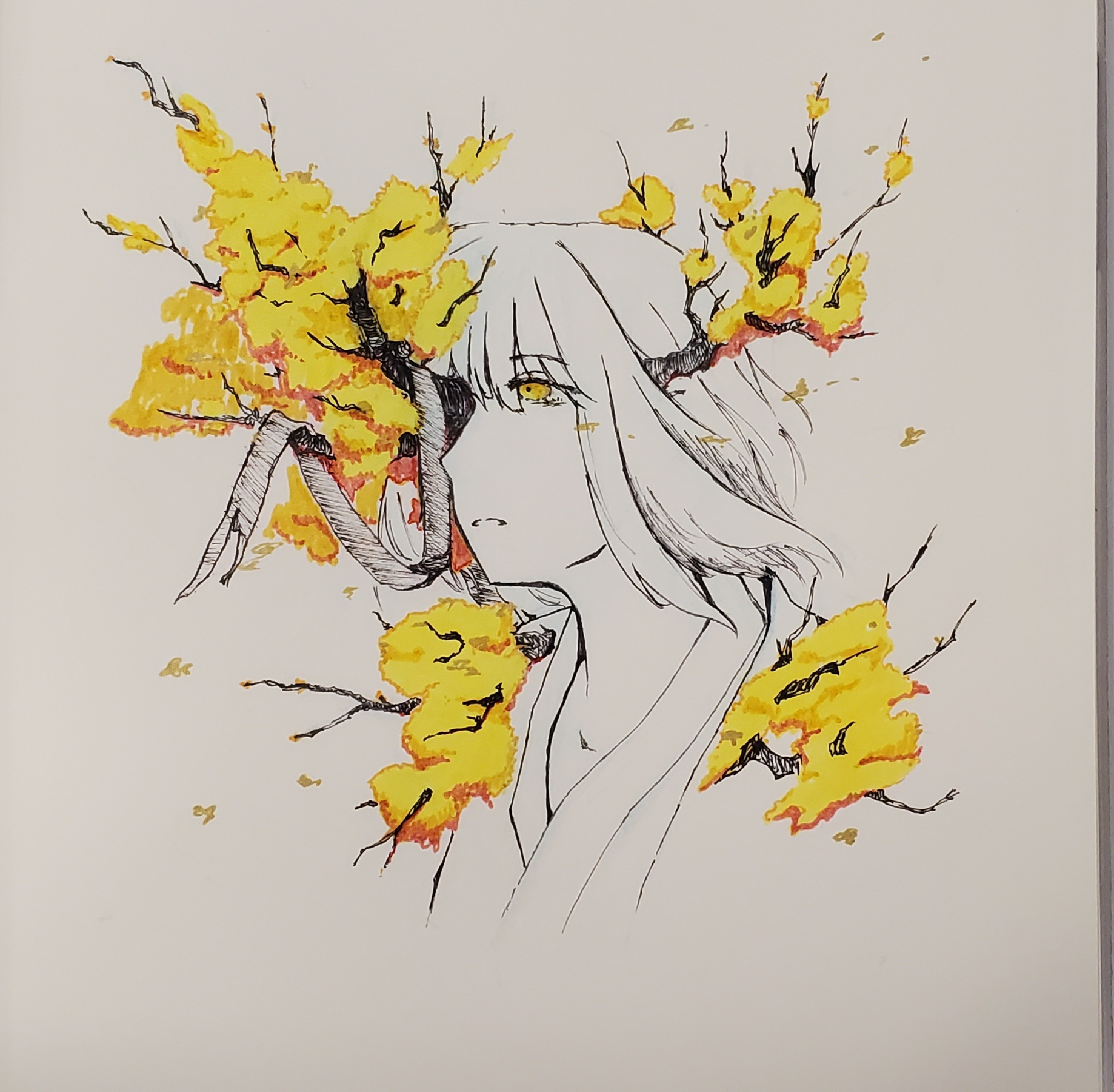 dongbaek sketch