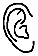 ear.
