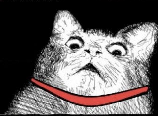 gaspcat.png