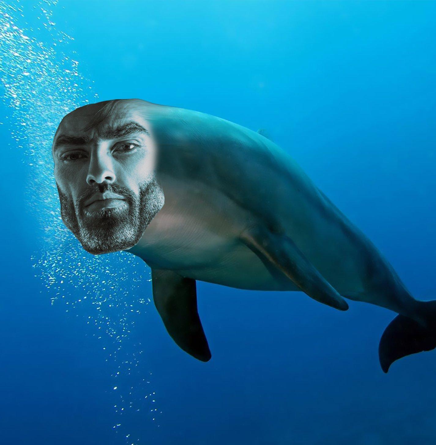 Giga dolphin