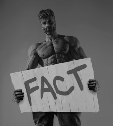 Giga fact