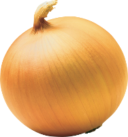 ing_onion.png
