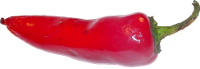 ing_pepper red.png