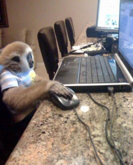 macaco computer
