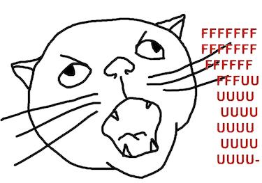 rage cat.jpg