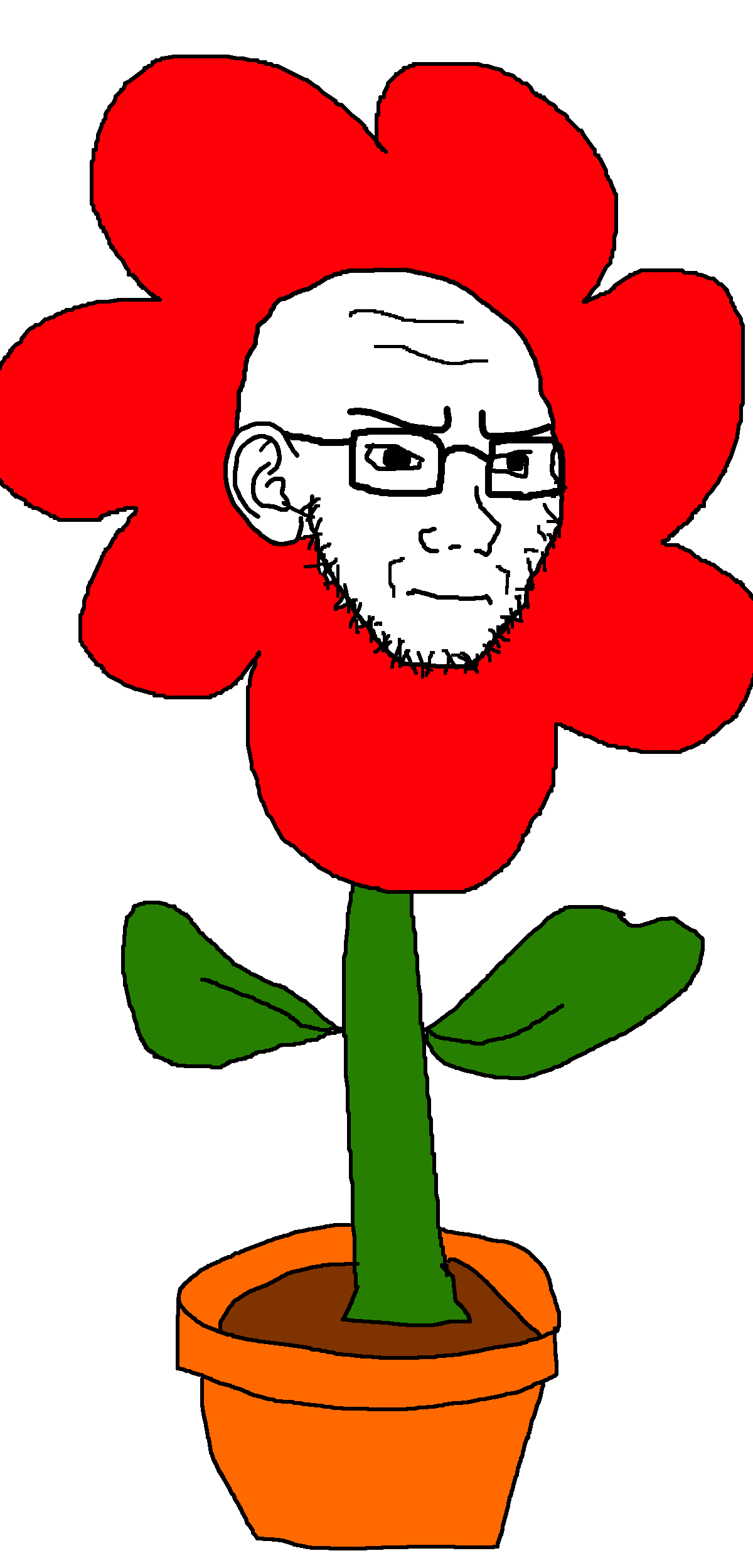 soy flower