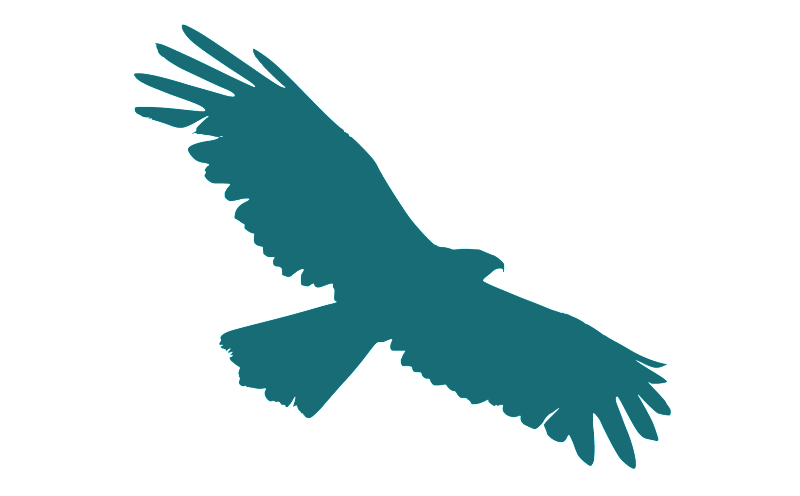 flying-eagle-method.org
