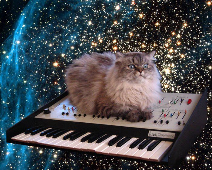space_arp.jpg