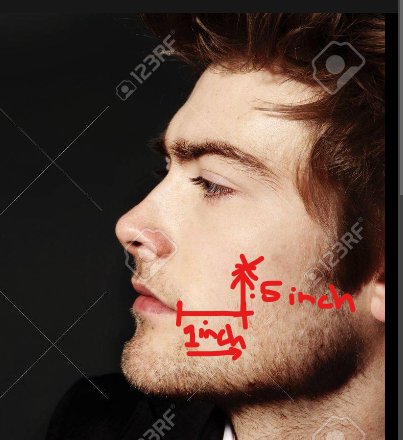 1691616461735