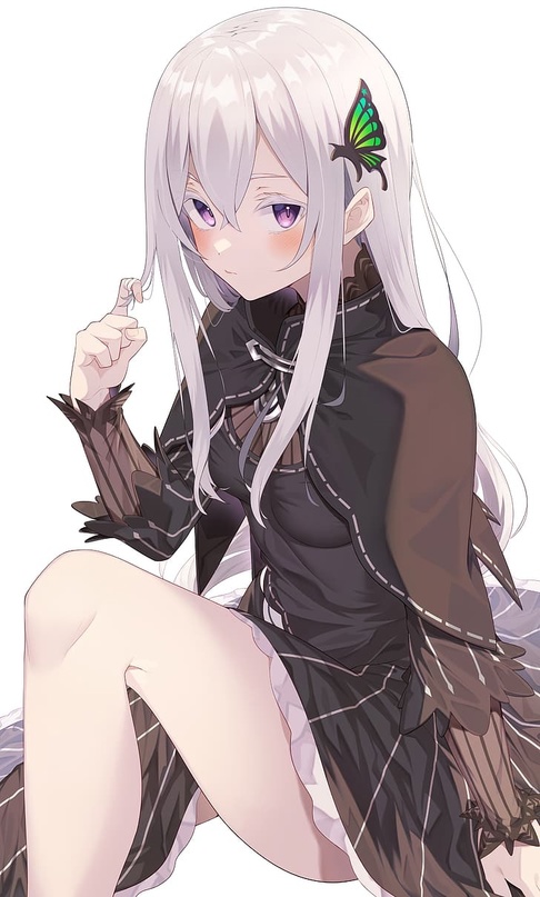 oz5oi6.jpg